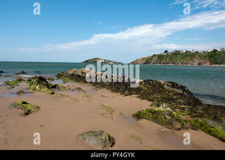 À l'échelle de l'estuaire de la rivière Avon à Bantham Beach à l'Ile de Burgh sur une belle journée d'été, Devon, Juillet Banque D'Images