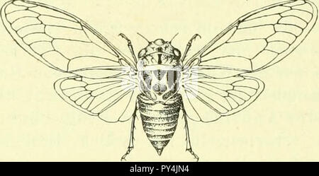 «Itzungsberichte der Gesellschaft Naturforschender Freunde zu Berlin" (1839) Banque D'Images