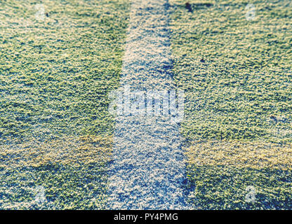 Ligne de terrain de soccer vert vide dans le stade. Le gazon synthétique pour le hockey Banque D'Images