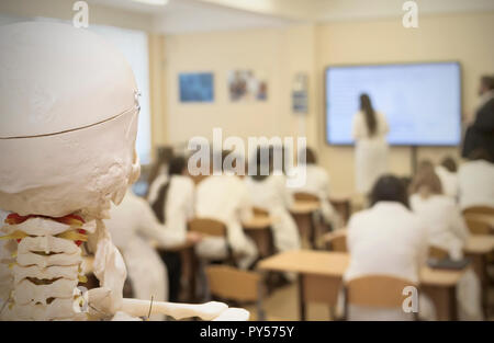 Crâne avec la serrure en classe Banque D'Images