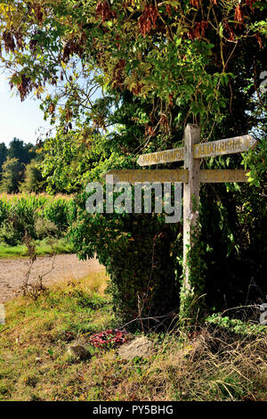 Le "orley signpost', à une jonction sur le byway Poulton Downs, près de Marlborough, comme on l'a vu en 2018. Banque D'Images