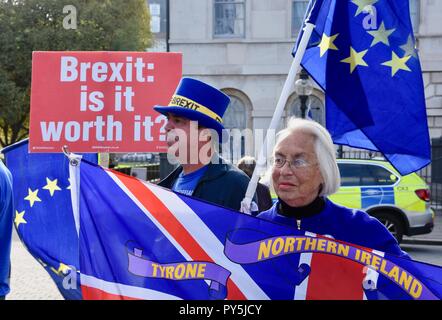 La place du parlement, Londres, Royaume-Uni. 25 octobre 2018. Les membres du stand de mépris Mouvement européen poursuivi leur manifestation à l'extérieur des chambres du Parlement. En cette semaine qui a suivi l'remainers 700 000 mars à Westminster à l'appui de la voix.La Place du Parlement,London.UK Crédit : michael melia/Alamy Live News Banque D'Images