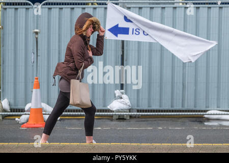 Pays de Galles Aberystwyth UK, vendredi 26 octobre 2018. Météo France : la lutte est de marcher comme un froid glacial vent du nord soufflent au-dessus de Aberystwyth, sur la côte ouest de la Baie de Cardigan au Pays de Galles que le temps tourne décidément à l'hiver crédit photo Keith Morris / Alamy Live News Banque D'Images