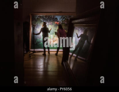 Francfort-sur-Main, Allemagne. 26Th Oct, 2018. Deux restaurateurs d'examiner le travail d'art 'Le lion affamé se jette sur l'antilope" (Henri Rousseau, 1898-1905), photographié à travers une structure de filet qui fait partie de l'exposition concept et de façon diffuse que révèle la première vision de l'oeuvre d'art à l'entrée des visiteurs. Avec l'exposition 'Wildnis' (1 novembre 2018 - 3 février 2019), la Schirn Kunsthalle de Francfort se montrant diverses oeuvres d'art sur ce thème. Crédit : Andreas Arnold/dpa/Alamy Live News Banque D'Images