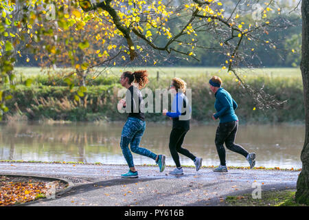 Joggeurs au parc Avenham, bordé par le Ribble, rivière lente. Les routes du réseau 6 et 62 avec des avenues bordées d'arbres traversent le parc et il y a des kilomètres de sentiers de course bien garnis et de jogging au bord de la rivière, fitness, coureur, exercice, sport, santé, style de vie, entraînement, athlète, course, forme, personnes, entraînement, actif, jeune, jogging, femme, femme, personne, athlétique, routes en plein air le long des rives de la rivière. Banque D'Images
