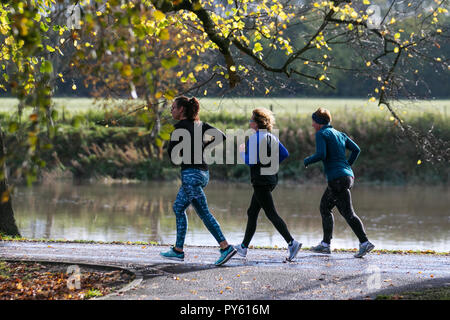Joggeurs au parc Avenham, bordé par le Ribble, rivière lente. Les routes du réseau 6 et 62 avec des avenues bordées d'arbres traversent le parc et il y a des kilomètres de sentiers de course bien garnis et de jogging au bord de la rivière, fitness, coureur, exercice, sport, santé, style de vie, entraînement, athlète, course, forme, personnes, entraînement, actif, jeune, jogging, femme, femme, personne, athlétique, routes en plein air le long des rives de la rivière. Banque D'Images