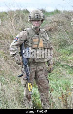 Royal Army Veterinary Corps de Chien Secteur Beth Johnson, 19 ans, de London au cours d'une démonstration de combat terrestre présentant des femmes dans les postes de commandement à Copehill Village en bas dans la plaine de Salisbury, Wiltshire. Le Secrétaire à la défense, Gavin Williamson a annoncé que tous les rôles de l'armée sont désormais ouverts aux femmes. Banque D'Images