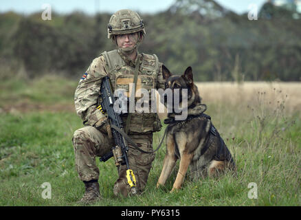 Royal Army Veterinary Corps de Chien Secteur Beth Johnson, 19 ans, de Bridgwater avec Csillag lors d'une démonstration de combat terrestre présentant des femmes dans les postes de commandement à Copehill Village en bas dans la plaine de Salisbury, Wiltshire. Le Secrétaire à la défense, Gavin Williamson a annoncé que tous les rôles de l'armée sont désormais ouverts aux femmes. Banque D'Images