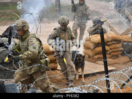 Royal Army Veterinary Corps de Chien Secteur Beth Johnson, 19 ans, de London (centre) avec Csillag lors d'une démonstration de combat terrestre présentant des femmes dans les postes de commandement à Copehill Village en bas dans la plaine de Salisbury, Wiltshire. Le Secrétaire à la défense, Gavin Williamson a annoncé que tous les rôles de l'armée sont désormais ouverts aux femmes. Banque D'Images