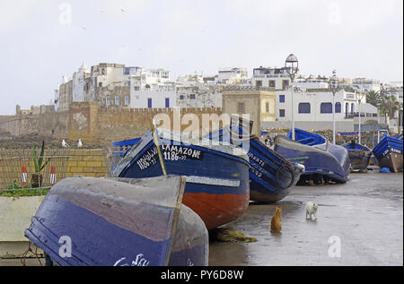 Essaouira sous la pluie, le Maroc, l'Afrique Banque D'Images