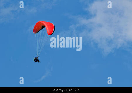 Parapente à la montagne Tegelberg dans les Alpes d'Ammergau, près de Schwangau, district d'Ostallgäu, Allgäu, Bavière, Allemagne Banque D'Images