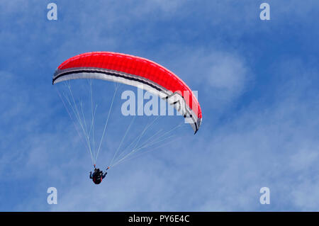 Parapente à la montagne Tegelberg dans les Alpes d'Ammergau, près de Schwangau, district d'Ostallgäu, Allgäu, Bavière, Allemagne Banque D'Images