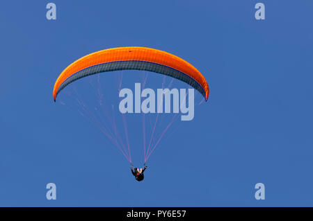 Parapente à la montagne Tegelberg dans les Alpes d'Ammergau, près de Schwangau, district d'Ostallgäu, Allgäu, Bavière, Allemagne Banque D'Images