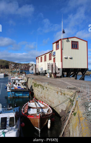 Voir des petits bateaux dans le port de St Abbs, St Abbs, Berwickshire, en Écosse avec la station de sauvetage indépendant sur la jetée au-dessus de la moyenne des bateaux. Banque D'Images