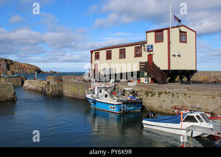 Voir des petits bateaux dans le port de St Abbs, St Abbs, Berwickshire, en Écosse avec la station de sauvetage indépendant sur la jetée au-dessus de la moyenne des bateaux. Banque D'Images