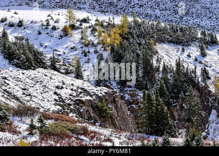 Ptarmigan Cirque à l'automne après une chute de neige surprise frapper la montagne Banque D'Images