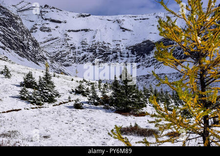 Ptarmigan Cirque à l'automne après une chute de neige surprise frapper la montagne Banque D'Images