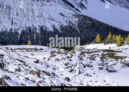 Ptarmigan Cirque à l'automne après une chute de neige surprise frapper la montagne Banque D'Images