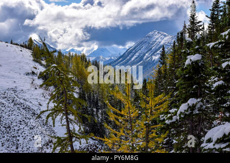 Ptarmigan Cirque à l'automne après une chute de neige surprise frapper la montagne Banque D'Images