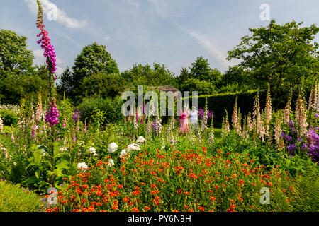 Un mélange de digitales (Digitalis sp) et d'autres plantes vivaces aux couleurs vives dans le Chalet à RHS Garden Rosemoor, Devon, England, UK Banque D'Images