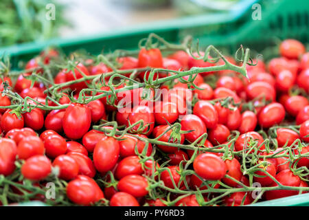 Libre de nombreuses petites tomates rouges mûres, sur l'affichage farmers market shop store en Italie d'épicerie en plastique vert caisse ou fort Banque D'Images