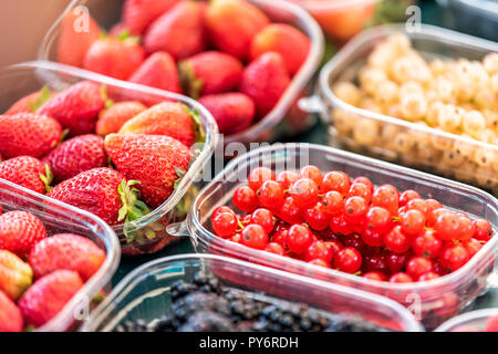 De nombreux récipients en plastique boîtes de fruits rouges, de groseille rouge et blanc, mûres, à l'affiche dans le farmers market Banque D'Images