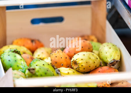 Libre de beaucoup de couleurs orange, jaune, vert, mûr prickly pear cactus fruits exposés en magasin du marché agricole Banque D'Images