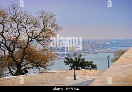 Vue sur le pont Elisabeth, Danube et maisons voisines dans la lutte antiparasitaire sur une journée d'hiver. Arbre sans feuilles énormes près d'une allée menant au front de mer. Banque D'Images