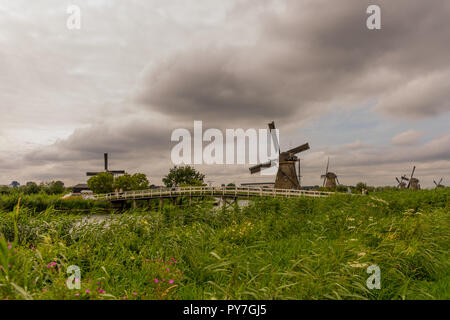Pays-bas, Rotterdam, Kinderdijk, patrimoine moulin au-dessus de l'herbe verte luxuriante le long d'un canal Banque D'Images
