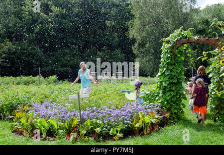 Casiers ! L'été dans le jardin communautaire camp, Maine, États-Unis Banque D'Images