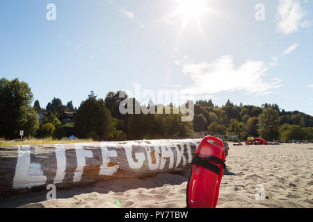 Une bouée de sauvetage dans le sable en face d'un log avec lifeguard written on it Banque D'Images