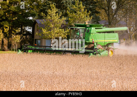 Kaukauna, WI - 24 octobre 2018 : une moissonneuse-batteuse John Deere dans un champ de la récolte de soja au Wisconsin. Banque D'Images