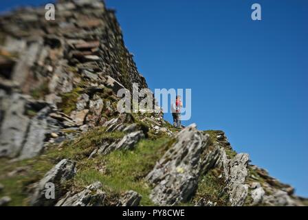 Un homme walker jouit de la vue au sommet du Mont Snowdon, le parc national de Snowdonia, Gwynedd, au nord du Pays de Galles, Royaume-Uni Banque D'Images