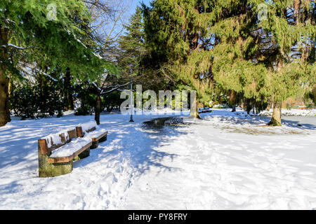 Une journée d'hiver ensoleillée dans un parc de la ville avec un lac de glace liés, vert des arbres couverts de neige, des bancs, un réverbère, un ciel bleu en Banque D'Images