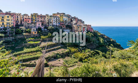 Vue panoramique de Corniglia donnant sur la mer, les Cinque Terre, ligurie, italie Banque D'Images