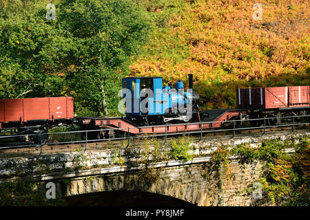 E classe narrow gauge 0-4-0WT No 6 A 'hot rod' d'être transportée sur un chariot à Lowmac Arche d'eau, tout en se rendant sur le North Yorkshire Moors Railway. Banque D'Images