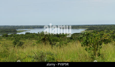 À la recherche à travers une jungle verte au Nil départ dans Murchison Falls National Park, de l'Ouganda Banque D'Images