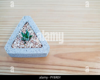 Mise à plat petit cactus en pots en ciment triangle sur fond de bois avec l'exemplaire de l'espace. Style minimaliste, Décoration design. Banque D'Images