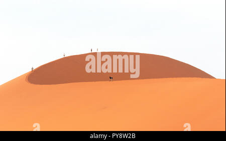 Désert de Namibie - touristes marcher la crête de dune de sable 45 dans le désert du Namib à Sossusvlei, Namibie, Afrique du Sud Banque D'Images