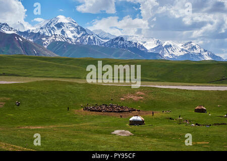 Le Kirghizistan, la province, Alaï Valley Camp nomade, Banque D'Images