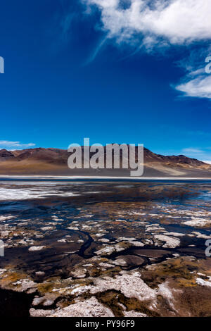 Laguna Negra est un écran haute lac andin sur la frontière, où le Chili, l'Argentine et la Bolivie tous ensemble près de la ville de San Pedro de Atacama Banque D'Images