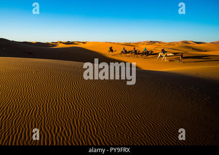 Sahara, Maroc - 10 novembre 2017 : les touristes chameaux en caravane dans les dunes de sable du désert du Sahara Banque D'Images