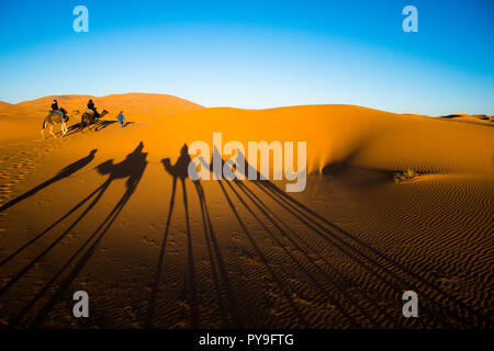 Sahara, Maroc - 10 novembre 2017 : les touristes chameaux en caravane dans les dunes de sable du désert du Sahara avec des ombres sur un sable chameau Banque D'Images