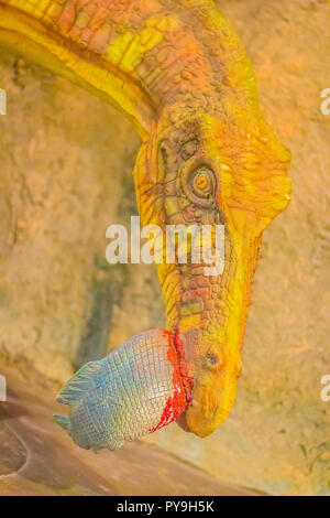 Cute model de Siamosaurus suteethorni dinosaure dans le musée public. Siamosaurus est un genre de dinosaure théropode du Crétacé inférieur de la Thaïlande. Banque D'Images