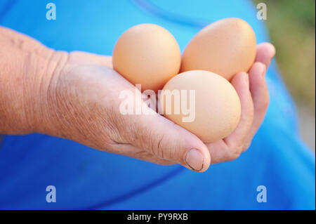 Farmer holding fresh oeufs biologiques Banque D'Images