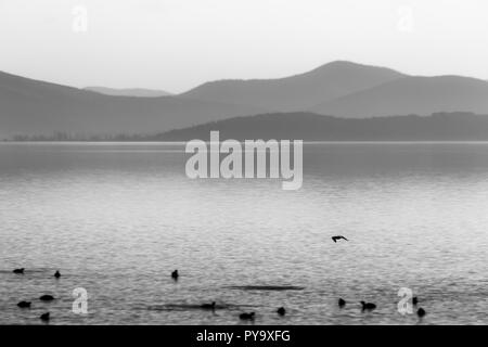 Belle vue sur un lac avec des oiseaux sur l'eau Banque D'Images