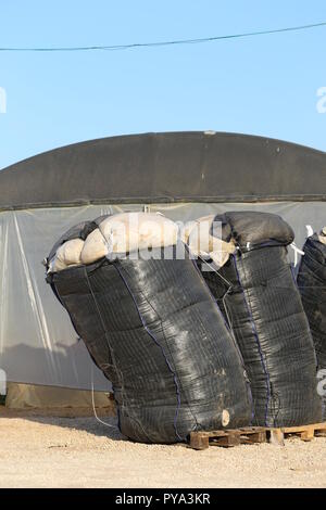 Gros sacs remplis de feuilles de plastique. Les déchets de plastique dans un énorme sac en vrac sur une plate-forme en bois en face de la serre. Utilisation de plastique agricole. Banque D'Images