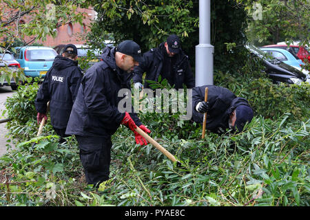 Recherche d'agents de police dans les buissons près de l'Orchard Theatre à Dartford, Kent alors que l'enquête se poursuit dans la disparition de mère-de-cinq Sarah Wellgreen qui n'a pas été vu depuis le 9 octobre. Banque D'Images