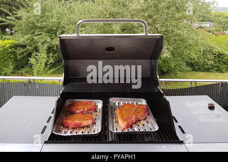 Délicieux plat de viande sur le grill. Dans l'arrière-plan vert des arbres Banque D'Images