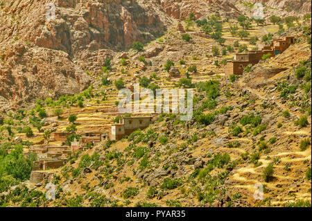 Le MAROC SOUS LE BLÉ DE LA VALLÉE VILLAGE SUR UNE COLLINE ET LA MOSQUÉE DU BLÉ SUR DE PETITES TERRASSES Banque D'Images